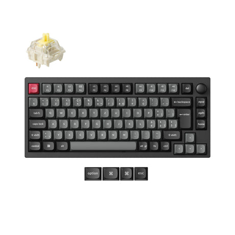 Coleção da disposição do ISO do teclado mecânico feito sob encomenda sem fio de Lemokey P1 QMK