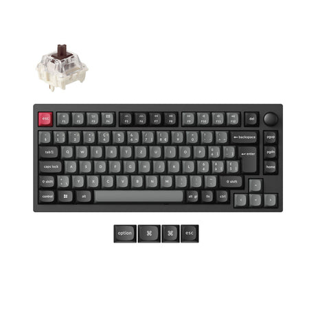 Coleção da disposição do ISO do teclado mecânico feito sob encomenda sem fio de Lemokey P1 QMK