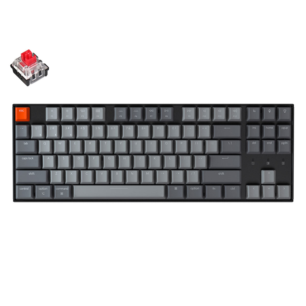 Keychron K8 tenkeyless wireless mechanical keyboard for Mac Windows iOS RGB white backlight with Keychron optical switch red